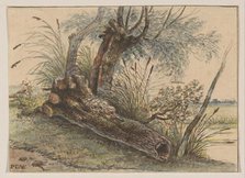 Tree stump in the reeds, 1801-1873. Creator: George Pieter Westenberg.