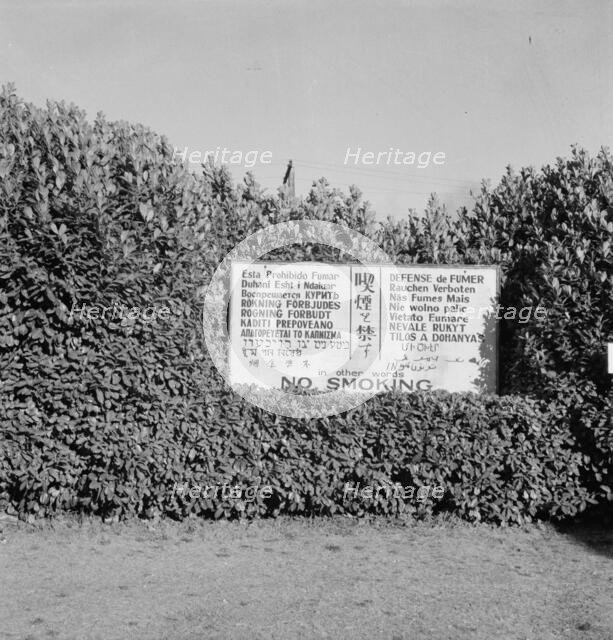Sign outside entrance of largest lumber mill in the world, Longview, Washington, 1939. Creator: Dorothea Lange.