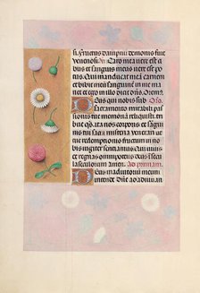 Hours of Queen Isabella the Catholic, Queen of Spain: Fol. 44v, c. 1500. Creator: Master of the First Prayerbook of Maximillian (Flemish, c. 1444-1519); Associates, and.