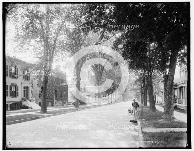 Greene Street, Ithaca, N.Y., between 1890 and 1901. Creator: Unknown.