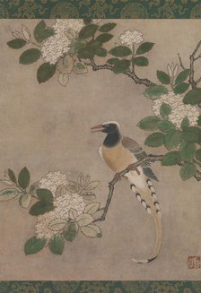 Magpie on Viburnum Branch, early 16th century. Creator: Genga.