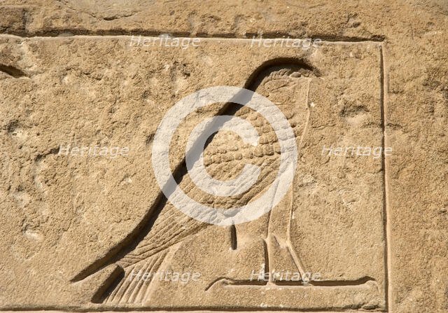 Falcon relief, Necropolis of Saqqara, Egypt, Old Kingdom (2015). Creator: Unknown.
