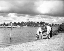 Strand-on-the-Green, London, c1955.  Creator: Arthur Charles Kirby Ware.