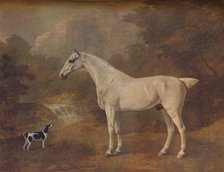 'A Flea-Bitten Grey and a Spotted Terrier', 1803.