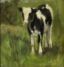 Calf, spotted black and white, c.1873-c.1903. Creator: George Poggenbeek.