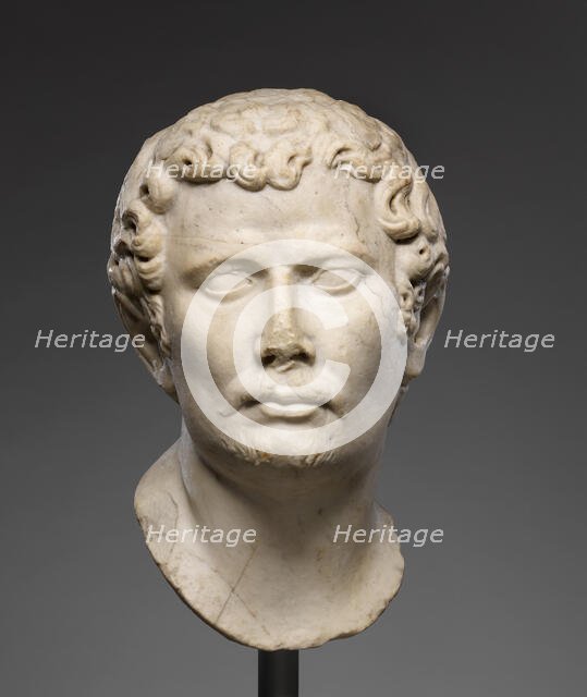 Head of a Barbarian, early 2nd century A.D. Creator: Unknown.