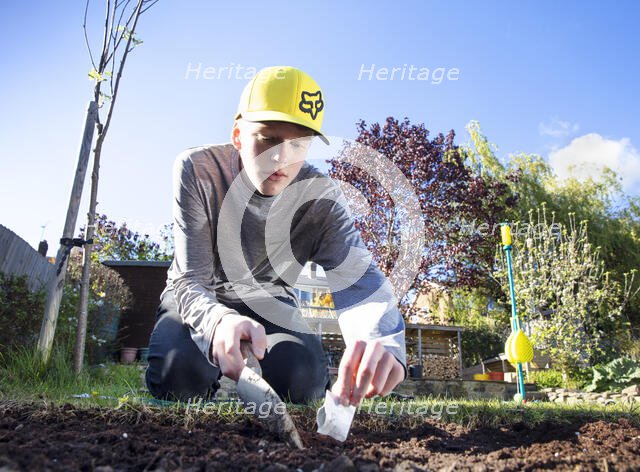 Fulwood, Sheffield, Sheffield, South Yorkshire, 2020. Creator: Alun Bull.