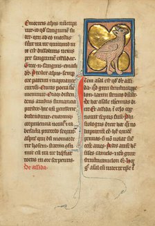 An Ostrich; De Natura Avium; De Pastoribus et Ovibus; Bestiarium, 1277 or after. Creator: Unknown.