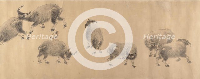 Water Buffaloes, dated 1639. Creator: Zhang Hong.