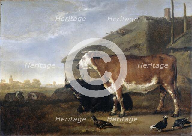 Cattle, 1660-1722. Creator: Abraham Pietersz van Kalraet.