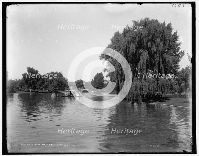 South end of lake in Public Garden, Boston, c1899. Creator: Unknown.
