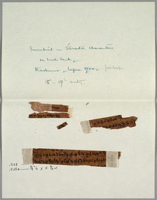 Two Fragments of Bark with Sanskrit, before 1700. Creator: Unknown.