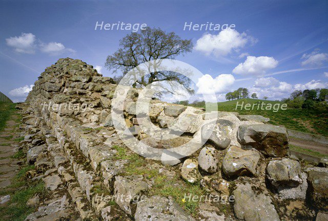 Hadrian's Wall, Willowford, Northumberland, 2010. Artist: Graeme Peacock.