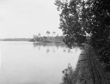 White Bass Lake near Gordon's, Wis., c1898. Creator: Unknown.