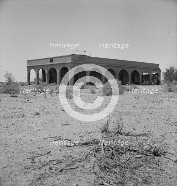 Aftermath of irrigation boom and subsequent collapse of cotton, Nyland, California, 1937. Creator: Dorothea Lange.