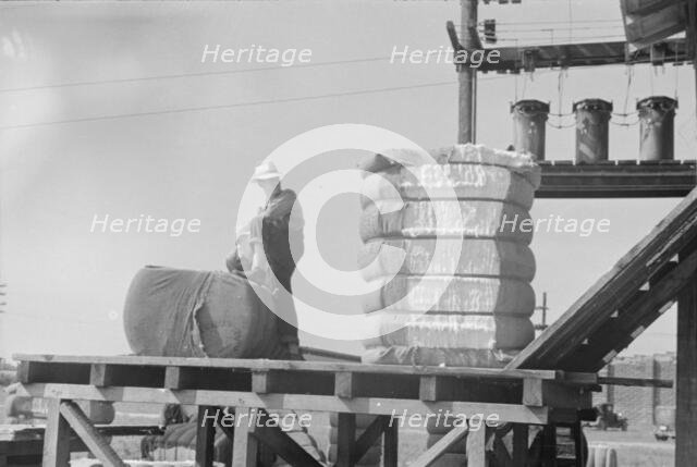 Cotton gin, Hale County, Alabama, 1936. Creator: Walker Evans.
