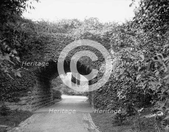 Ivy arch bridge in Delaware Park, Buffalo, N.Y., c1908. Creator: Unknown.