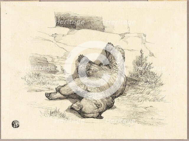 Russian Bear, n.d. Creator: Auguste-Andre Lancon.