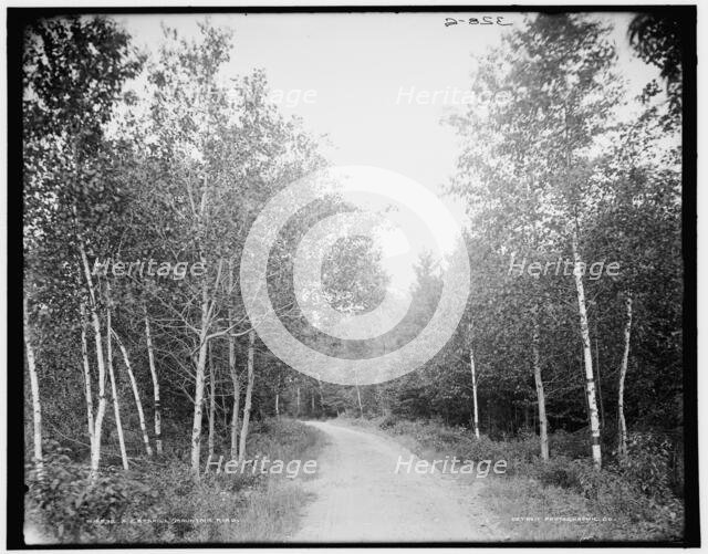 A Catskill Mountain road, (1902?). Creator: Unknown.