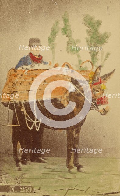 Unidentified man with mule carrying baskets of food, 1870s. Creator: Marittima.