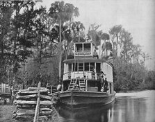 'On the Ocklawaha River, Florida', c1897. Creator: Unknown.