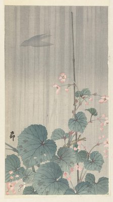 Begonia in the rain, 1930s. Creator: Ohara, Koson (1877-1945).