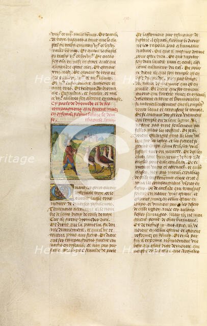 The Companions of Diomedes Changed to Geese; Miroir Historial, about 1475. Creator: Unknown.