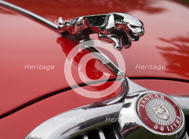 Leaping cat mascot on Jaguar 3.8 litre
