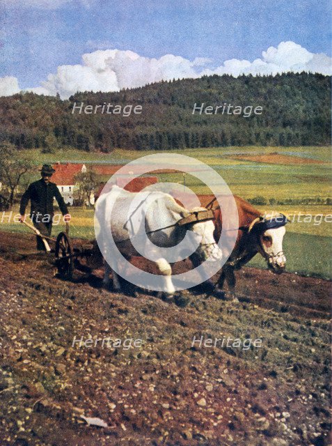 Tilling, Germany, 1943. Artist: Unknown