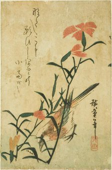 Bird and wild carnation, c. 1830s. Creator: Ando Hiroshige.
