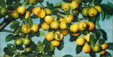 Ripening Pears, c. 1884/1885. Creator: Joseph Decker.