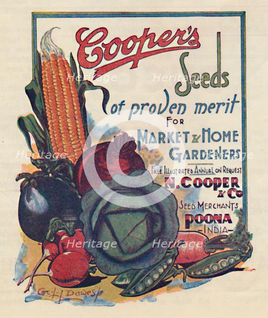 Advertisement for Cooper's seeds, 1936. Creator: Cecil Dawes.