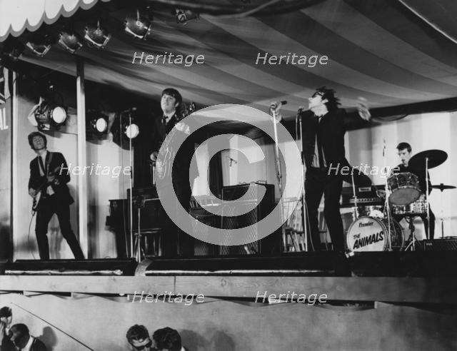 The Animals, Richmond Jazz Festival, London, 1965. Creator: Brian Foskett.