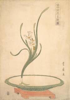 Flower Arrangement of Suisen (Narcissus) in a Flat Green Dish. Creator: Utagawa Toyohiro.