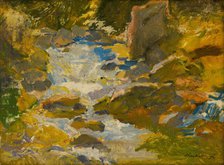 Stream in a forest, c1900. Creator: Alexander Kubinyi.