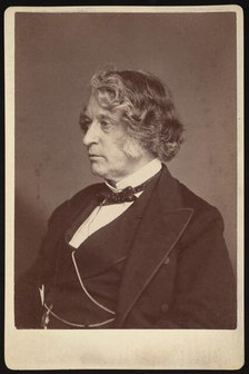 Portrait of Charles Sumner (1811-1874), 1874. Creator: Allen & Rowell.