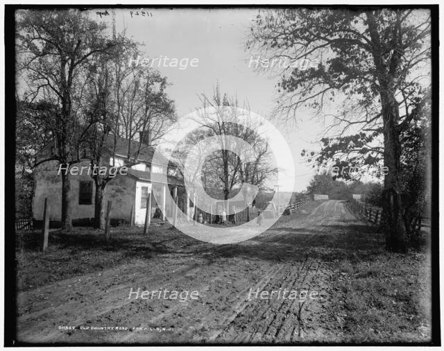 Old country road, Far Hills, N.J., c1900. Creator: Unknown.