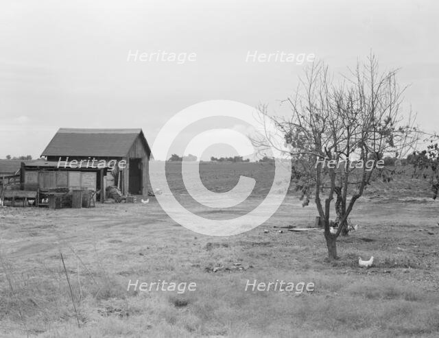 Small farm, Kern County, California, 1938. Creator: Dorothea Lange.