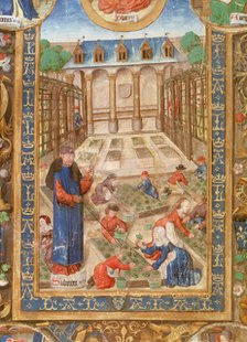 Pharmaceutical garden, 15th century. Artist: Unknown