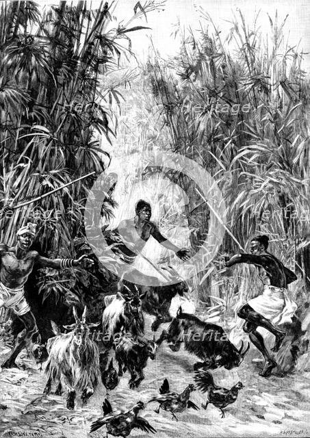 Mr. H. M. Stanley’s Emin Pasha Relief Expedition - foraging for supplies for the Yahbuya Camp, 1890. Creator: H. Werdmüller.