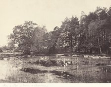 Marsh at Piat (Belle-Croix Plateau), c. 1863. Creator: Eugène Cuvelier.