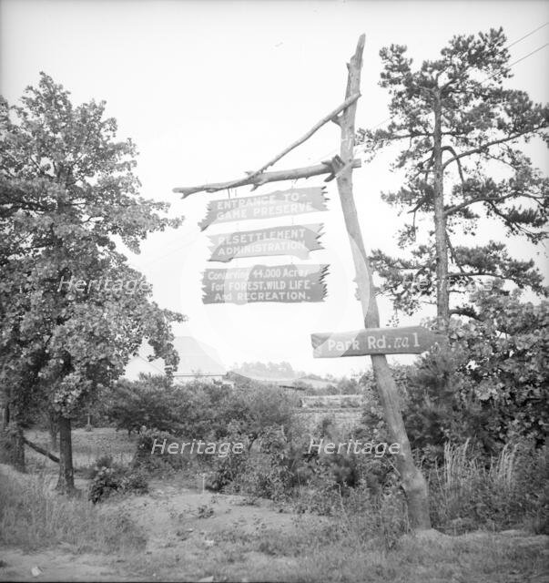 Resettlement project located near Gainesville, Georgia, 1936. Creator: Dorothea Lange.