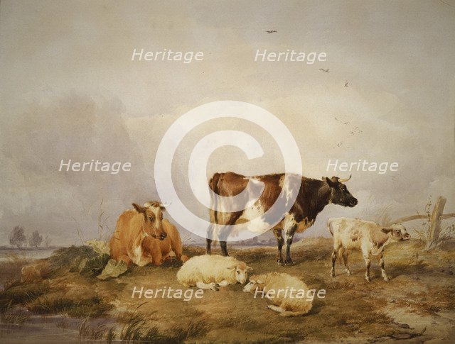 'Landscape and Cattle', c1823-1902. Artist: Thomas Sidney Cooper