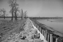 The Bessis Levee, along a subsidiary of the Mississippi River, near Tiptonville, Tennessee, 1937. Creator: Walker Evans.