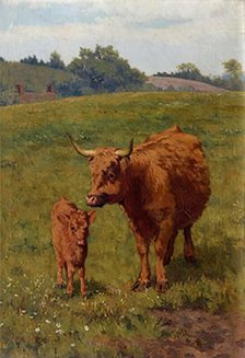 Cow and Calf, 1881. Creator: Bryan Hook.