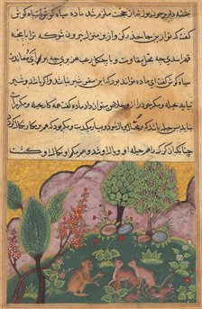 Tuti-Nama (Tales of a Parrot): Tale XXIX, c. 1560. Creator: Unknown.