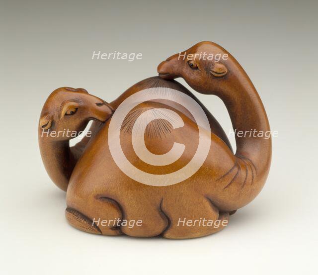 Camel Pair, Late 19th century. Creator: Unknown.