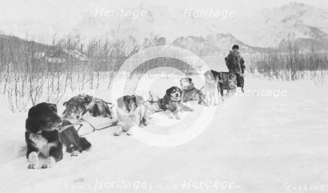 Seward and Susitna mail team, between c1900 and c1930. Creator: Unknown.