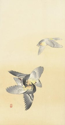 Two fighting birds. Creator: Ohara, Koson (1877-1945).