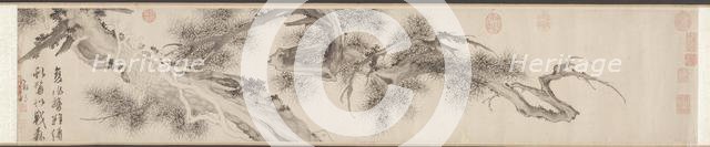 Old Pine Tree, late 1530s. Creator: Wen Zhengming (Chinese, 1470-1559).